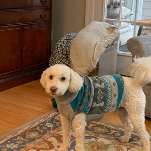 Meet your Posher, Marc